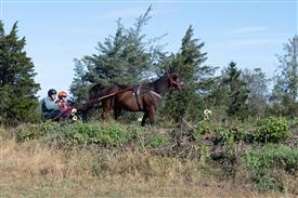 LR-WRF 10182025 Retreat-6386